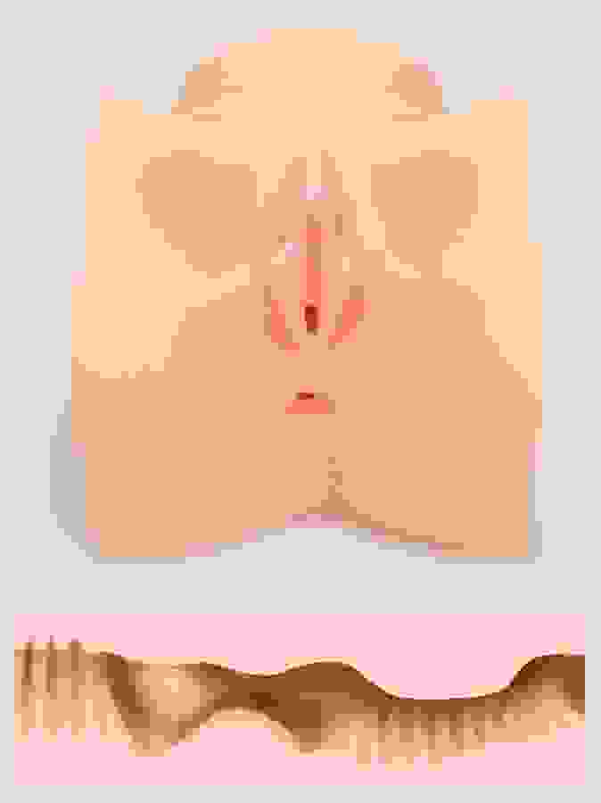 THRUST Pro Elite Sophia Realistic Vagina and Ass 2kg, Flesh Pink, hi-res